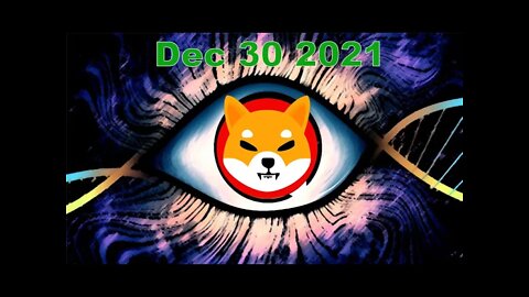 Shiba Inu and Bitcoin forecast December / January
