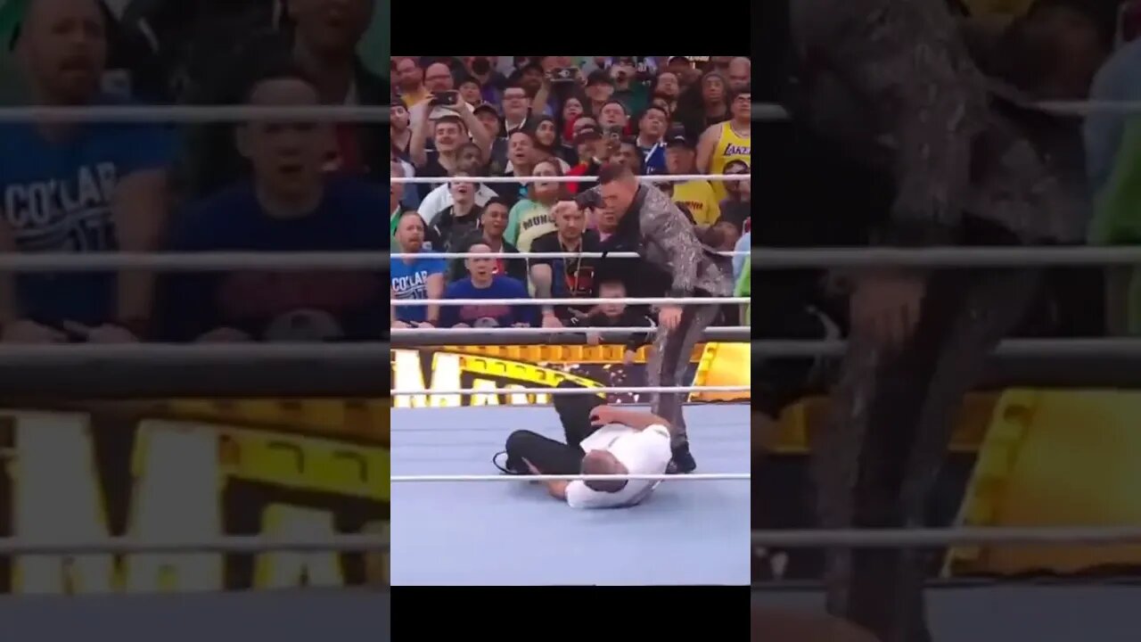 Best parts of Wrestlemania