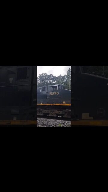 Autoracks west under the Keystone Viaduct #train #youtube #short