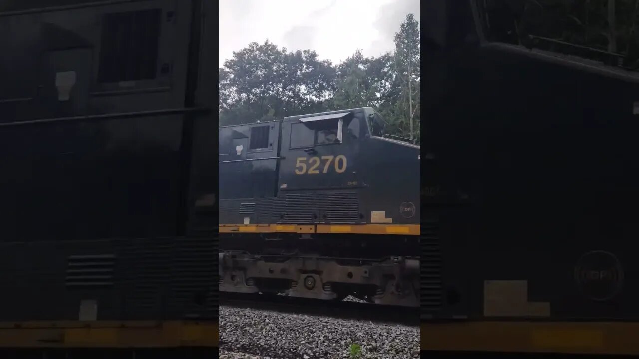 Autoracks west under the Keystone Viaduct #train #youtube #short