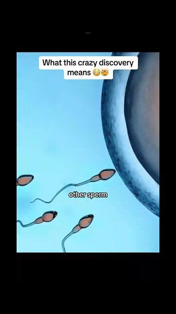 You’ve been chosen ✅ You are meant for something great. 🔥 how the sperm enter the egg 🤯