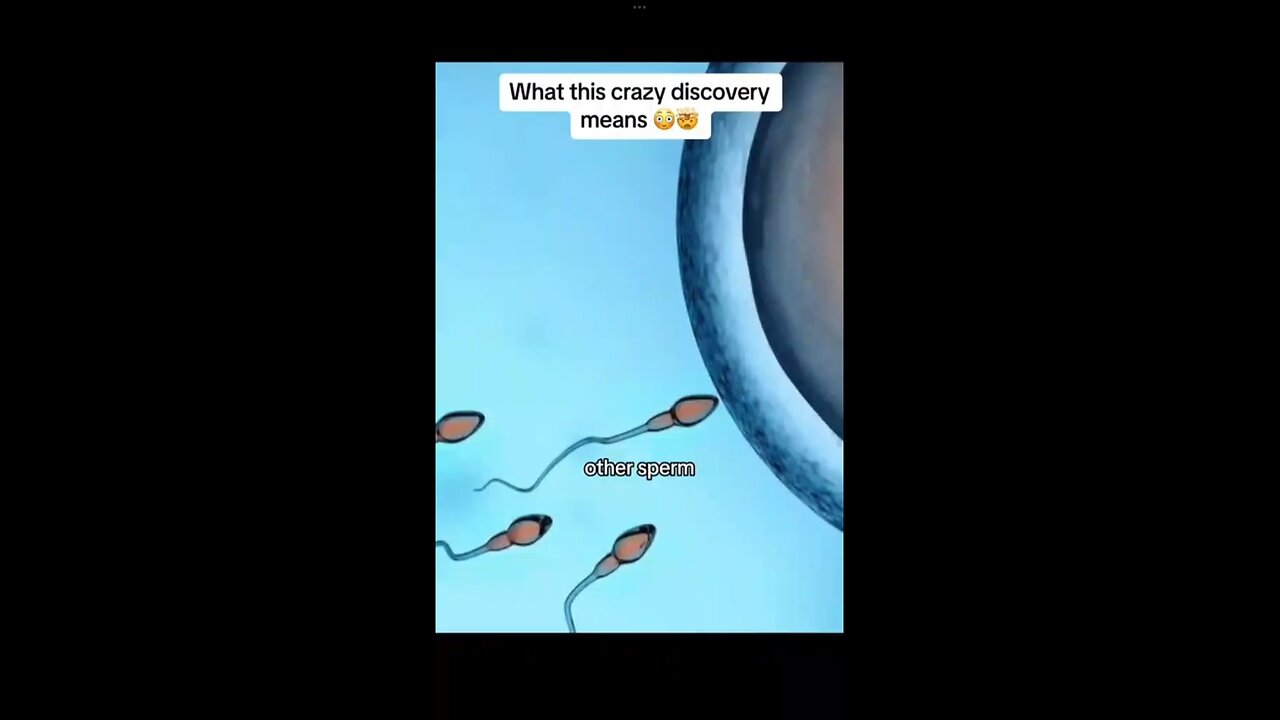 You’ve been chosen ✅ You are meant for something great. 🔥 how the sperm enter the egg 🤯