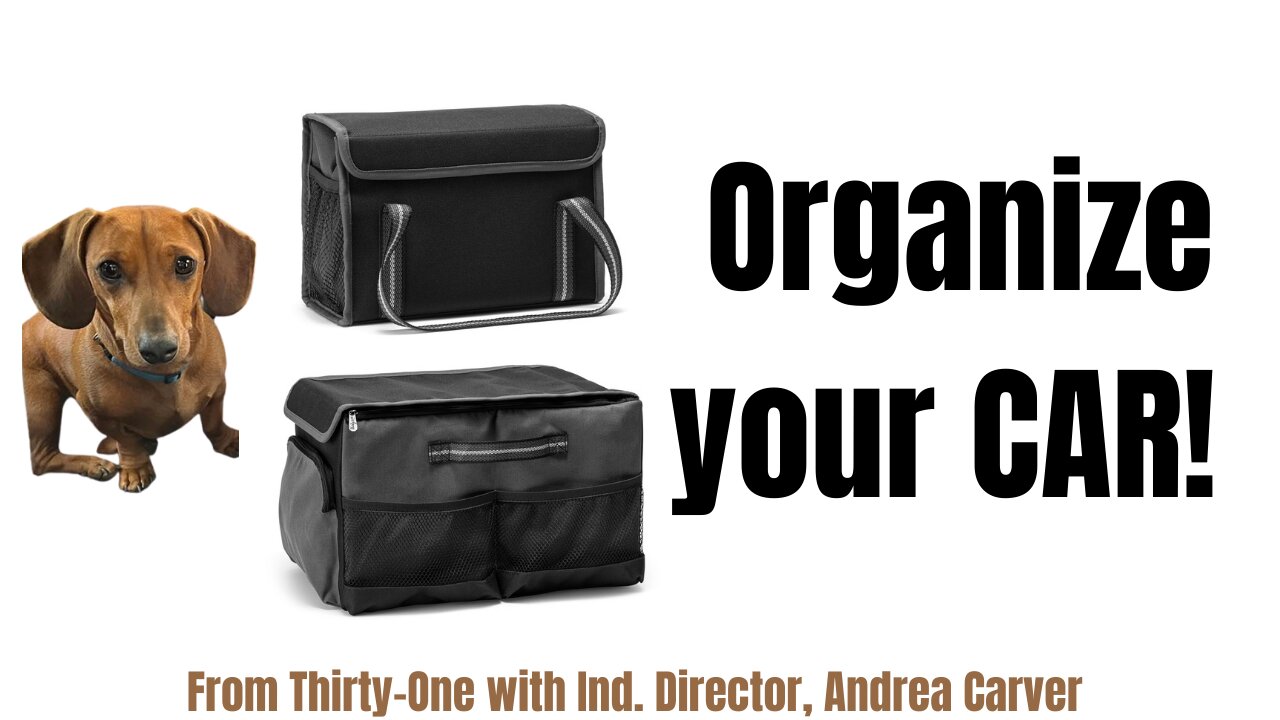 Organize your Car 🚗 with Thirty-One | Ind. Director, Andrea Carver