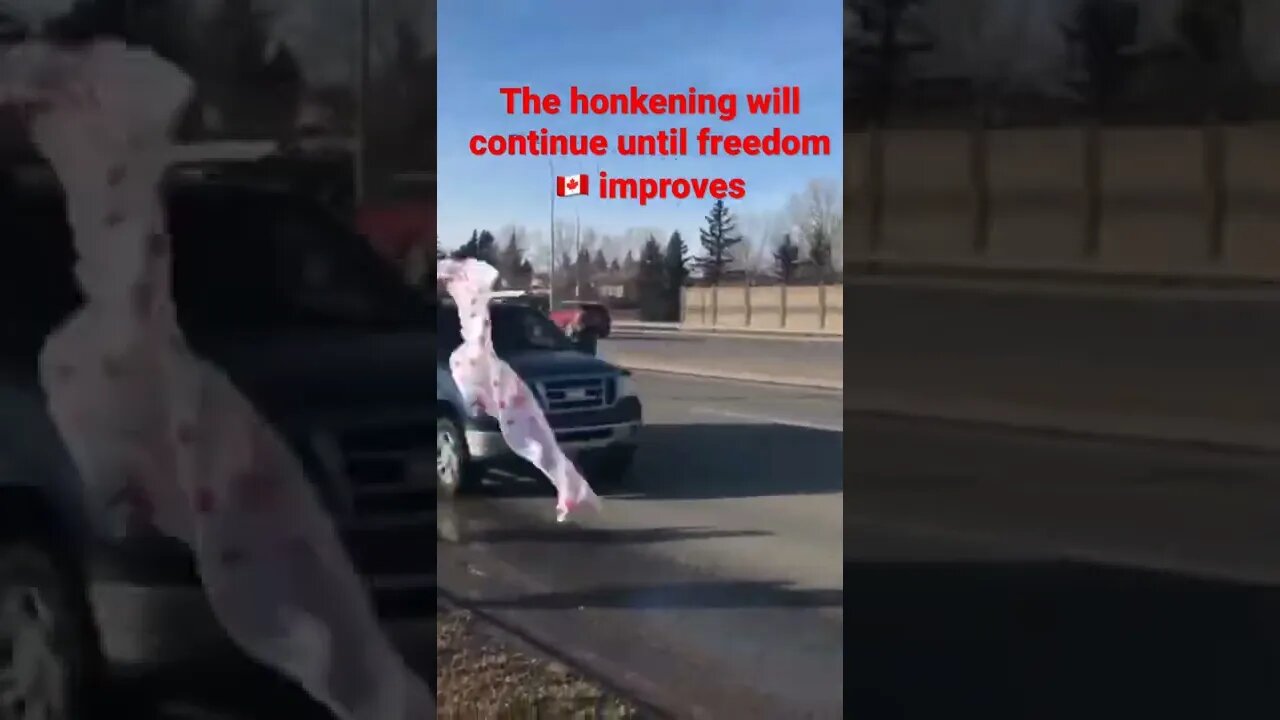 πππCalgary honkening πππ