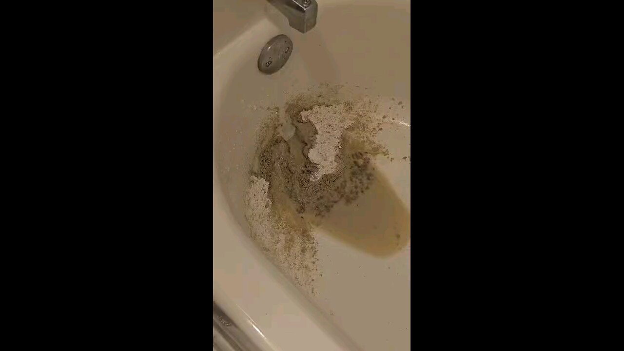 Black worm in bathtub drain. What is it?