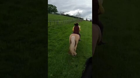 Flicks first gallop #bareback #viral #equestrian #horseriding #youtubeshorts #fypシ #shortsfeed