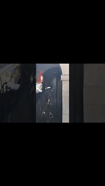 Kings guard shouts at tourist make way now #horseguardsparade