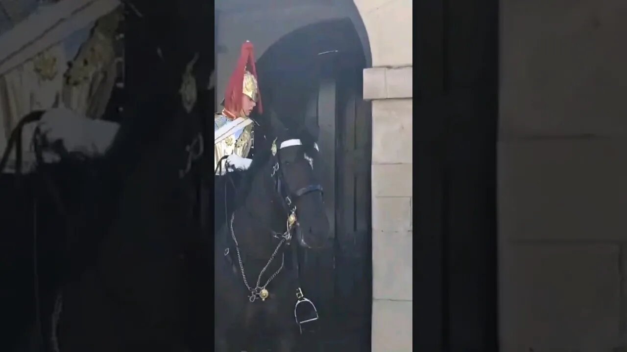 Kings guard shouts at tourist make way now #horseguardsparade