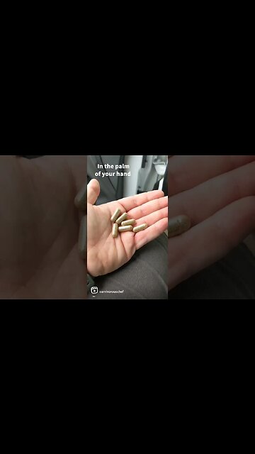 Go Check out Optimal Carnivore 🥩🍖🍗🥓