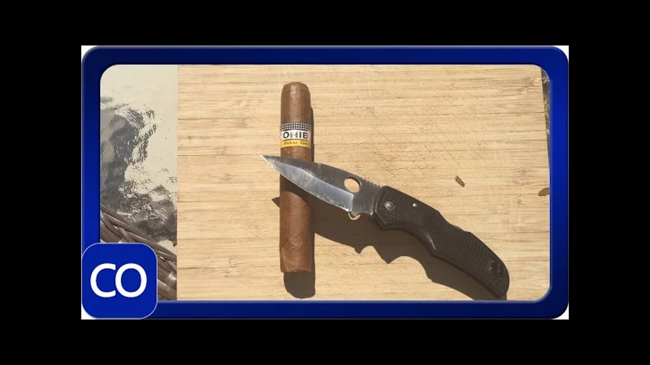 Cuban Cohiba Siglo II Robusto Cut Open Real Or Fake