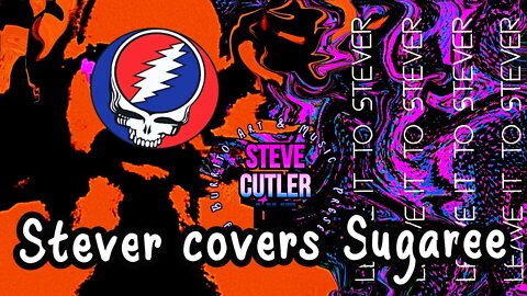 sugaree a cover by steve cutler live