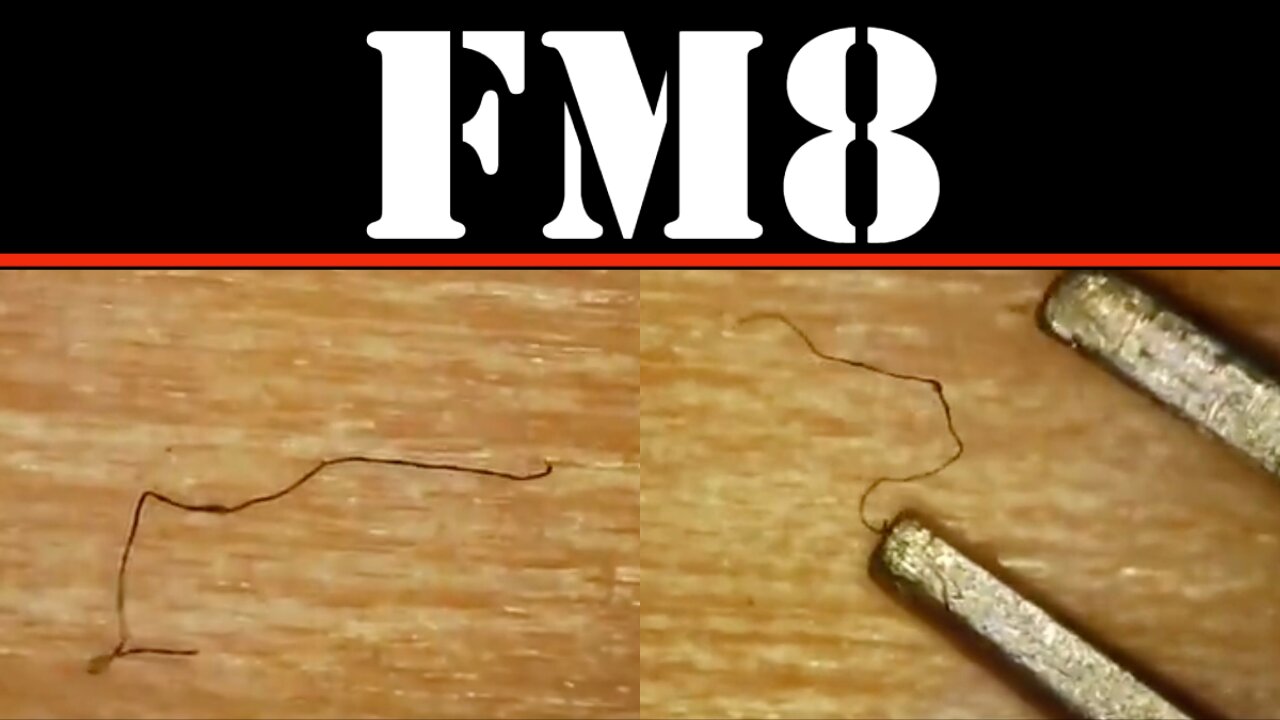 FM8 - THE INTERMINGLE OF THINGS: FORBIDDEN FIBERS