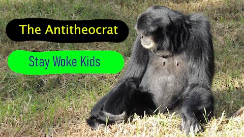 Stay Woke Kids.