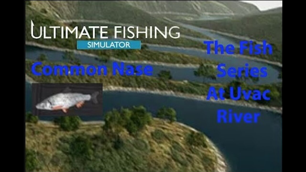Ultimate Fishing Simulator: The Fish - Uvac River - Common Nase - [00037]