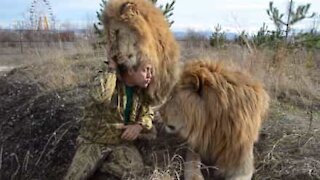 Oleg si fa mordere da un leone... Che coraggio!