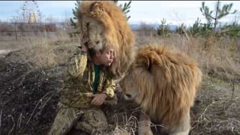 Oleg si fa mordere da un leone... Che coraggio!