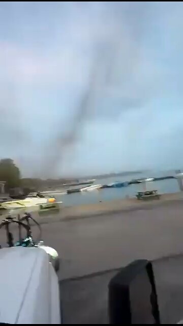 🚨 BREAKING: Insect Invasion Takes Over!