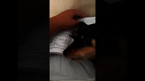 #shorts Sempre que tento ler na cama, é isso!