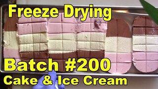 Freeze Dried Ice Cream and Cake for Batch #200!