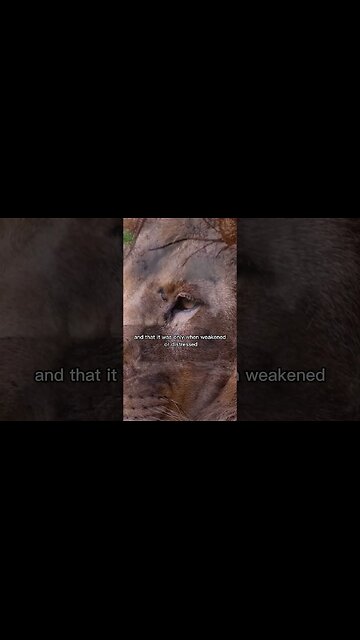 Nietzsche vs Darwin #nietzsche #philosophy #darwin