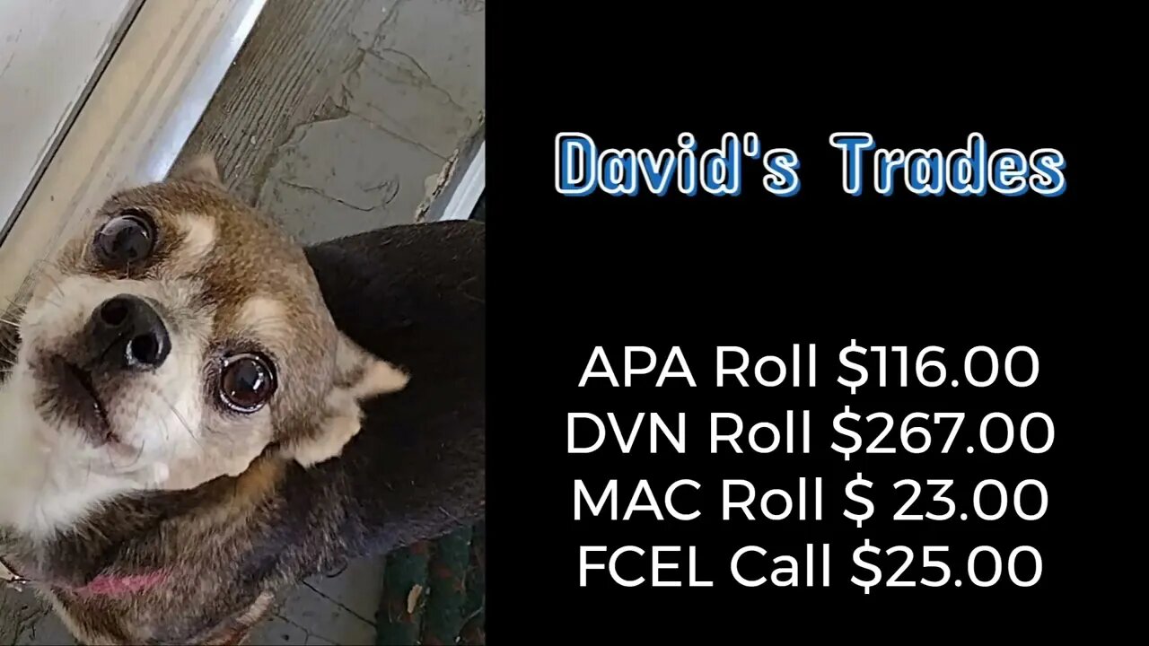 Rolled APA, DVN, MAC and wrote a call on FCEL $431.00 received.