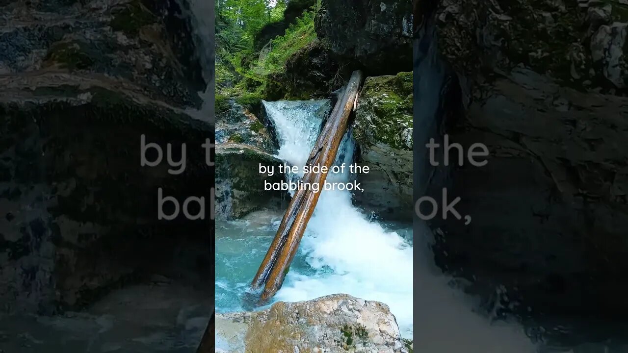 Find serenity by the side of the babbling brook 🏞️| Relaxing Music #shorts #meditationmusic