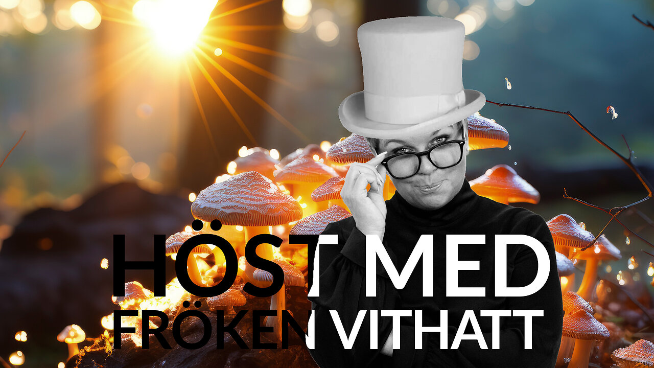 Live - Höst med fröken vithatt 9 okt 2024