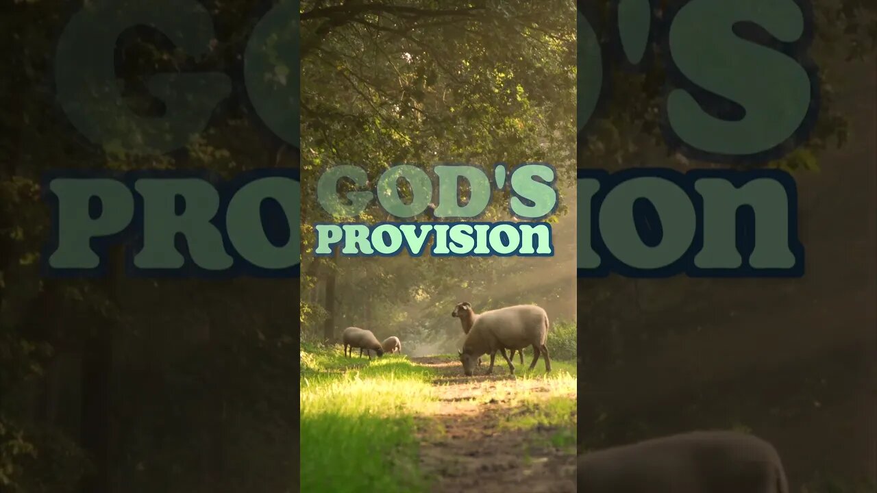 God’s Provision - Revitalize your day with Scripture meditation and audio from the KJV Bible.