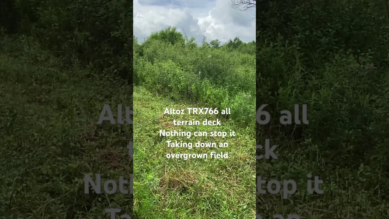 Altoz TRX766 all terrain deck taking on its final challenge. An overgrown food plot