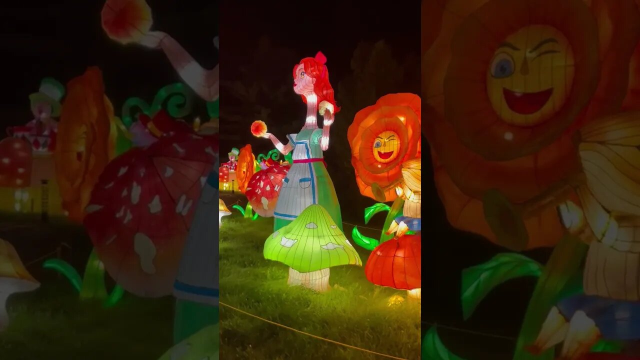 935DE1DF AFD8 4349 A299 91D62EE592C3