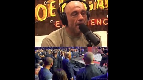 Joe Rogan on the MAGA Avengers 🇺🇸