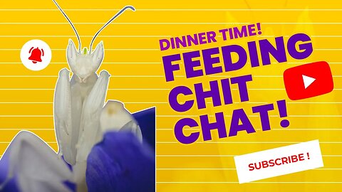 Dinner Time, Chit Chat with guest host JCristina
