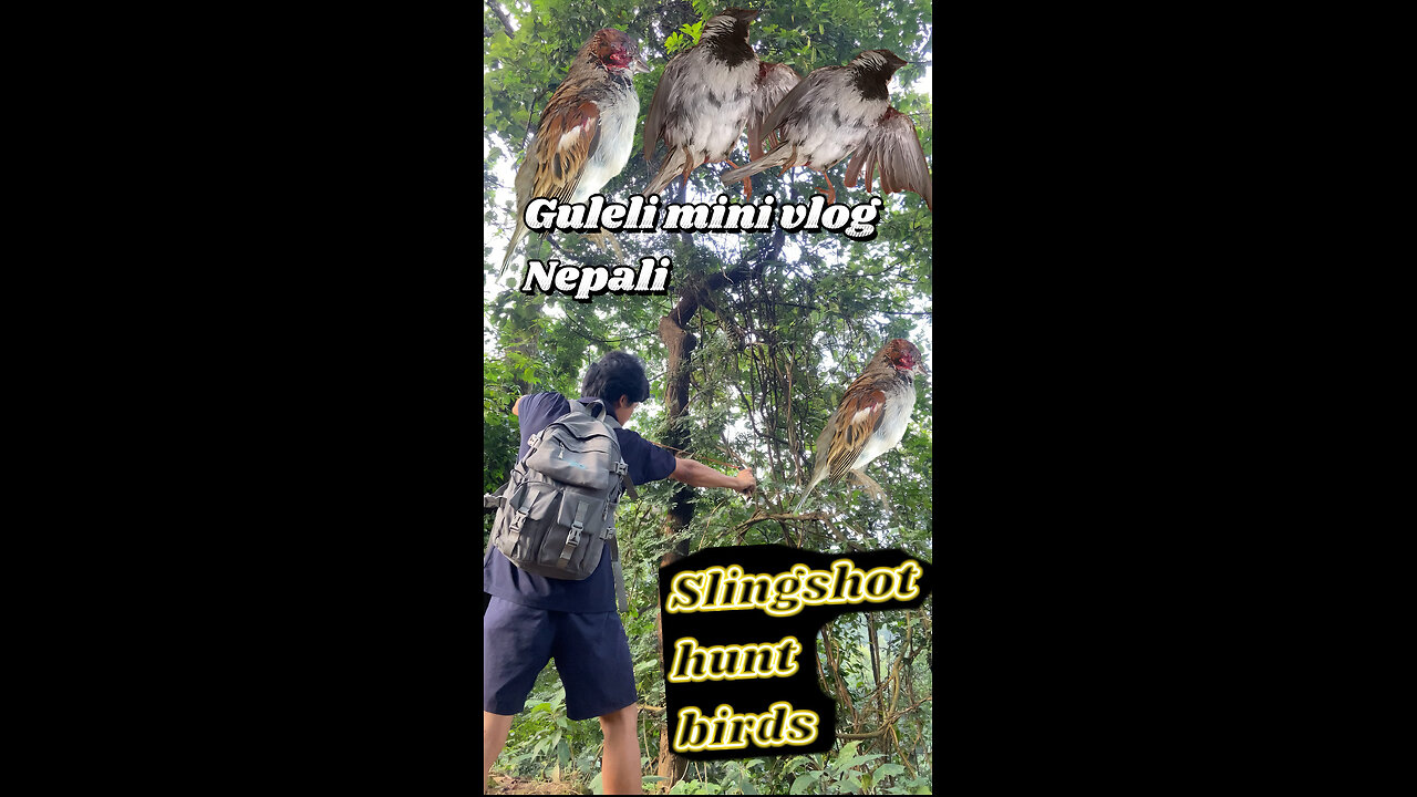 Nepali Hunter hunting for birds in darkest jungle with slingshots