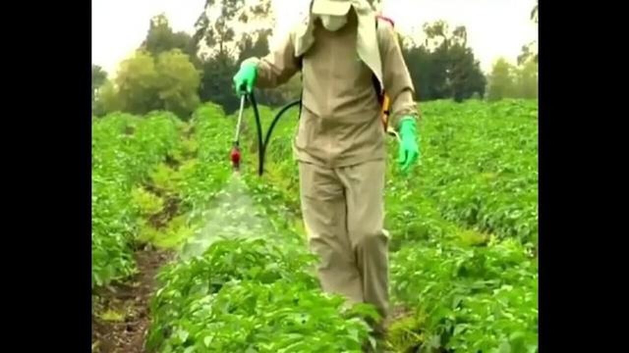 McDonald's Toxic French Fries