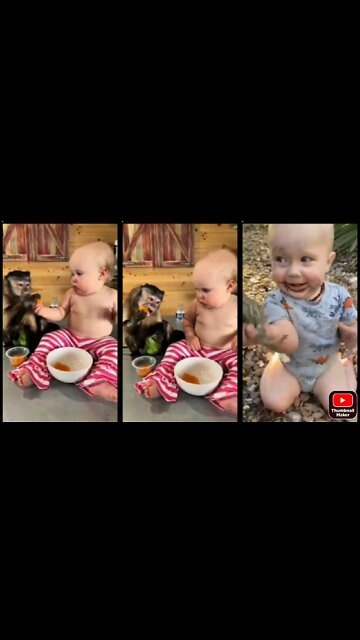 Baby and monkey eating together