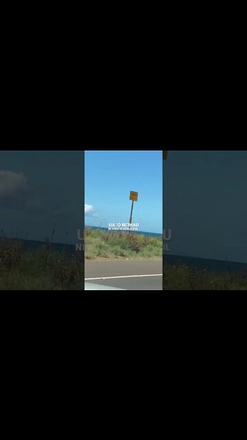 FORBIDDEN ISLAND OF NIʻIHAU