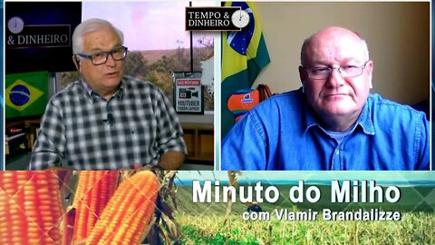 Milho avança na exportação
