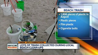 Lots of trash collected during local beach cleanups