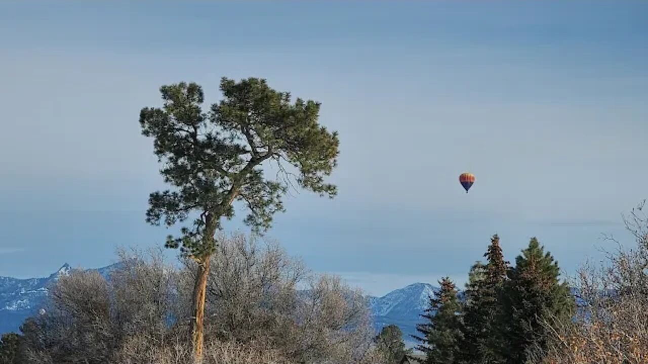 Journey To Florida From Colorado Livestream