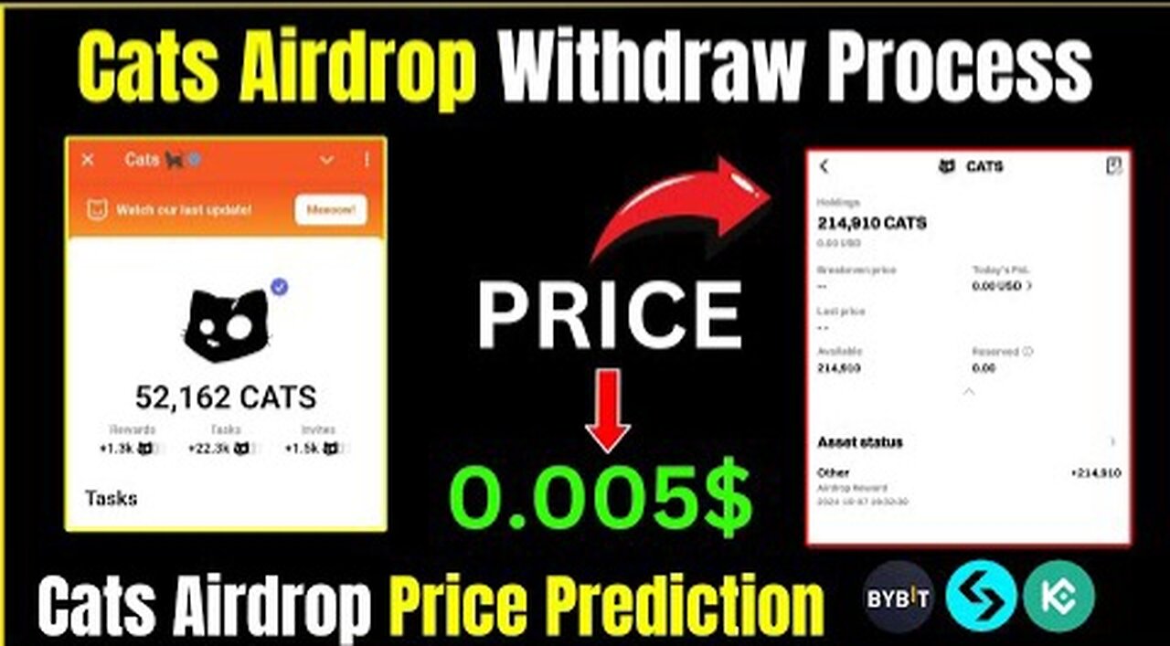 Cats Airdrop: A Step-by-Step Guide to Withdrawal & Price Prediction 🐱🚀