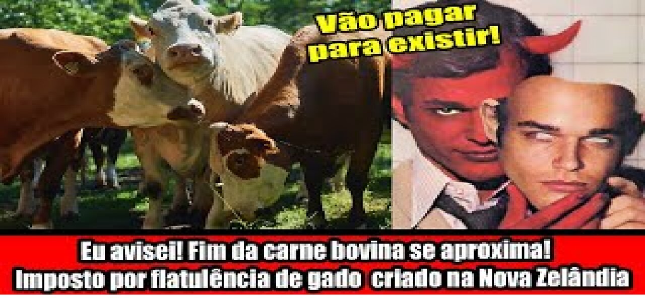 Eu avisei! Fim da carne bovina se aproxima! Imposto por flatulência de gado criado na Nova Zelândia