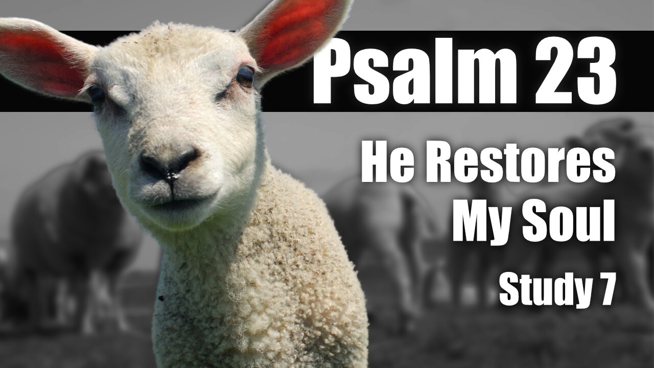 07 Psalm 23:3 Restores my soul