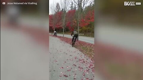 Ciclista leva queda em calçada cheia de folhas!