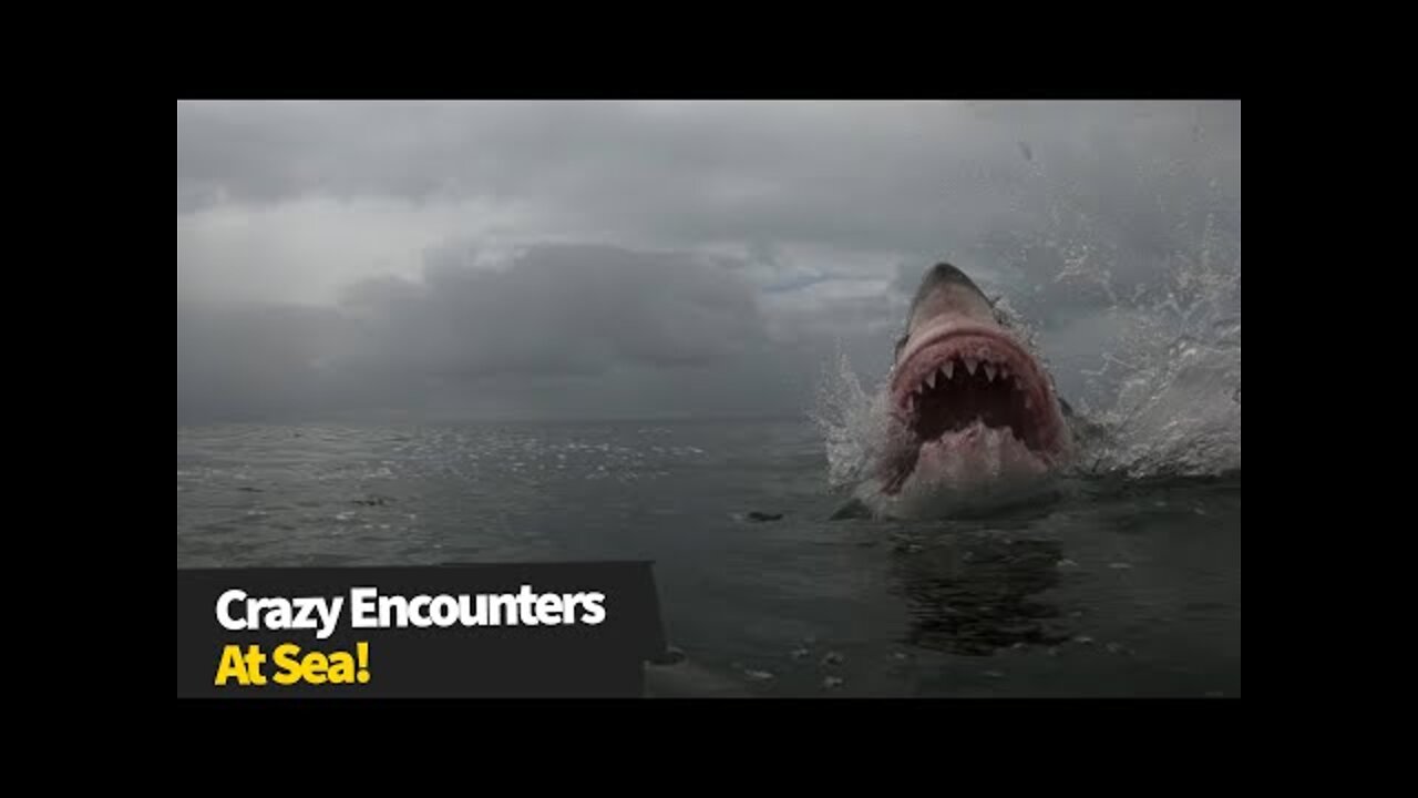 The sea can be a SCARY place!