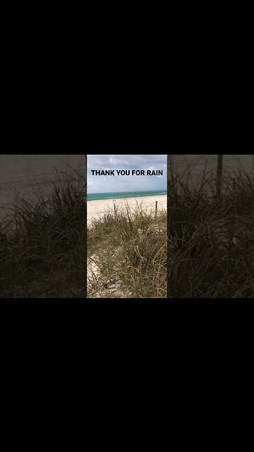 RAIN AND WAVES AT THE BEACH#asmr #asmrsounds #antistress 🌊🌧⛈💧🦋🪶