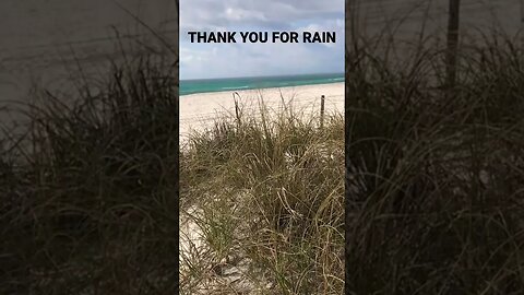 RAIN AND WAVES AT THE BEACH#asmr #asmrsounds #antistress 🌊🌧⛈💧🦋🪶