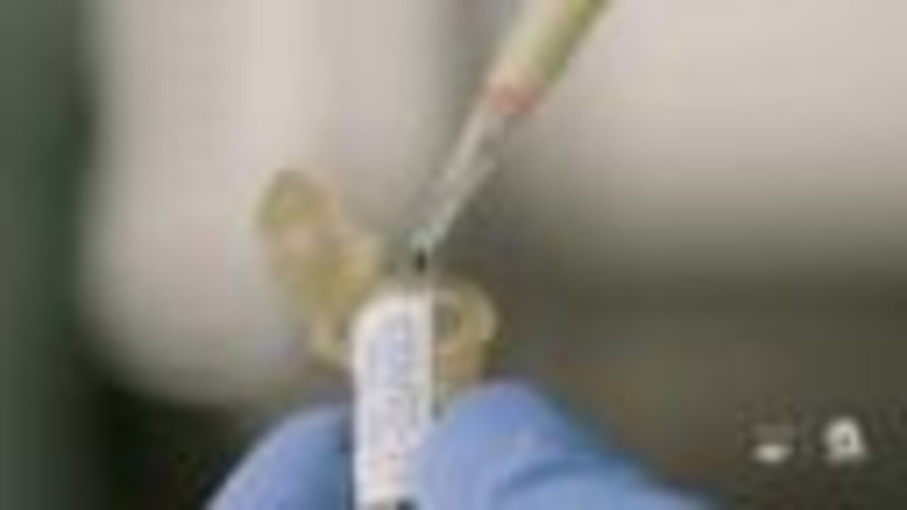 Demand on the rise for coronavirus testing in Florida