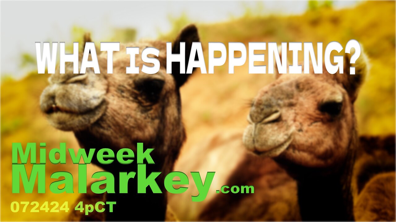 What Is Happening? Midweek Malarkey 072424