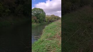 peaceful placid river.