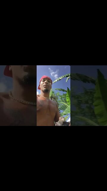 My birdy lost his leg